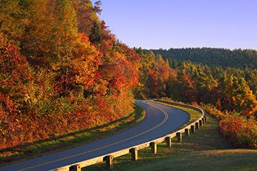 Fall Road