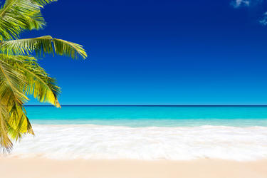 Plages et farniente