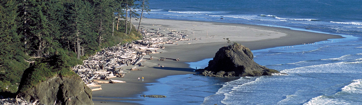 Olympic National Park - Oregon - Etats-Unis Ouest
