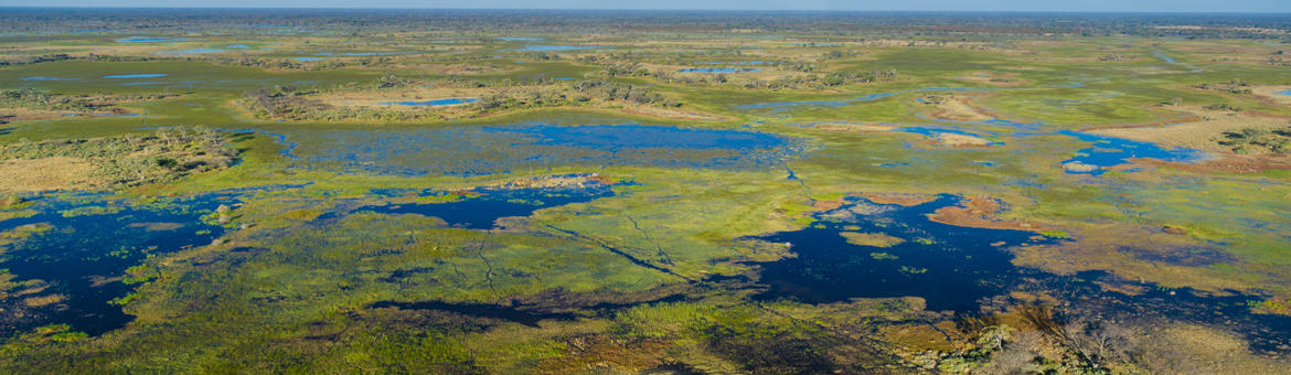 Botswana - Delta de l'Okawango