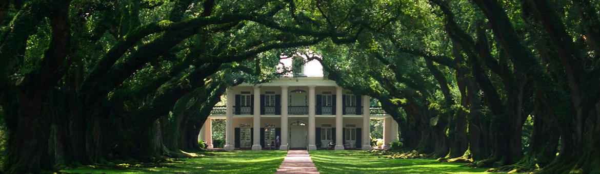 Oak Alley Plantation - Louisiane 