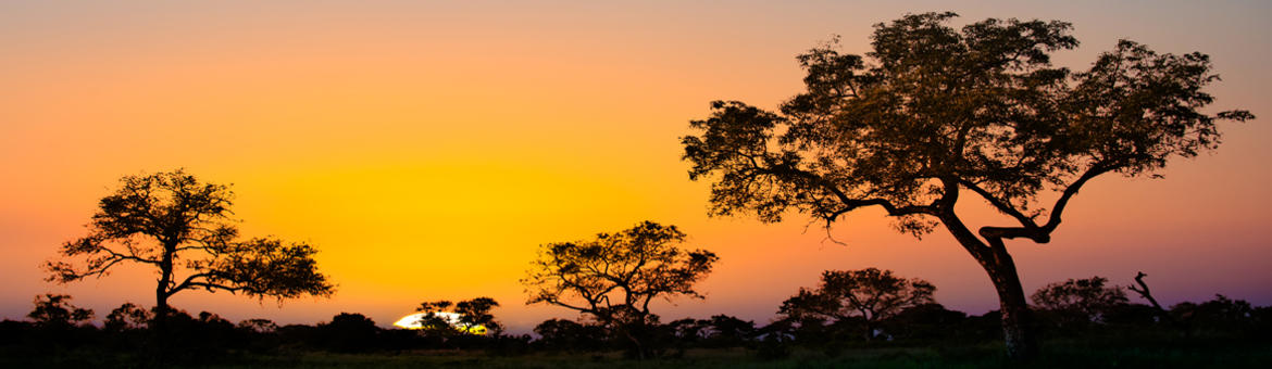 Afrique du Sud - Coucher de soleil sur le Parc Kruger