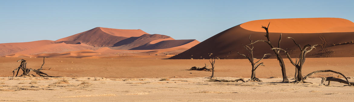 Namibie - Vue panoramique du désert de Sossusvlei
