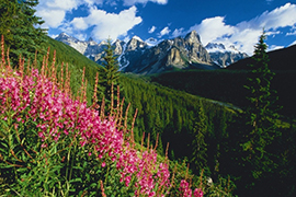 Canada - Autotours 