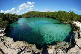 Cenote - Yucatan - Monde Maya - Mexique