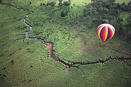 Majestueux Kenya 0