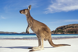 Paysages d'Australie 0