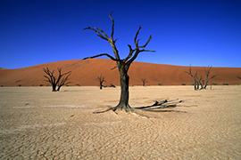 Reflets de Namibie en 4X4 0