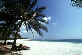 Savane et Paradis tropical 0