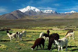 Patagonie - Chili - Autotours 
