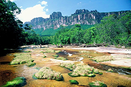 Salto Angel - Kerepakupai merú - Plus hautes chutes du monde - Parc national Canaima - Auyan Tepuy - Rio Kerep - Venezuela - Autotours 