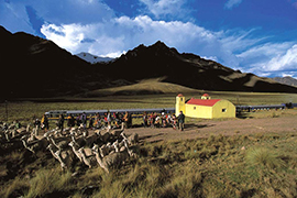 La Raya - Puno - Cusco - Cuzco - Andes - Perou