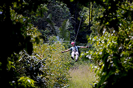 Canopy tour - Tyrolienne - Monteverde - Costa Rica