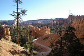 Bryce Canyon National Park - Utah - Etats-Unis Ouest