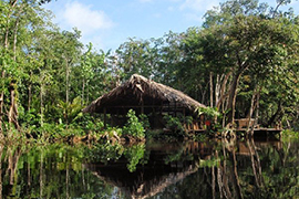 Campement Waro Waro - Delta de l'Orenoque - Venezuela - Autotours 