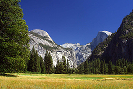 Yosemite meadows - Californie - Etats Unis