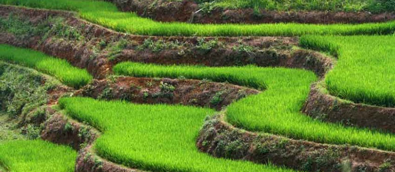 Au Coeur du Vietnam 2