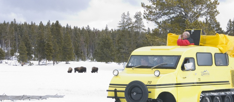 Yellowstone National Park - Wyoming - Etats-Unis Ouest