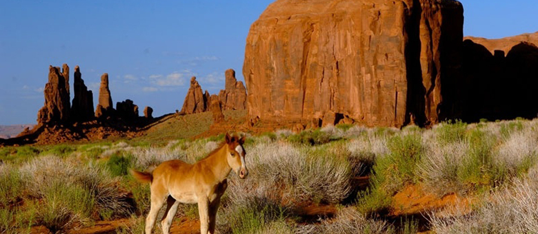 Monument Valley – Arizona / Utah - Etats-Unis Ouest