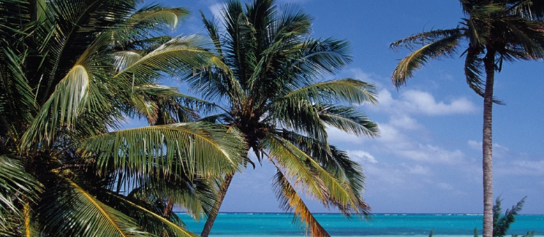 Les Bahamas d'Ile en Ile 10
