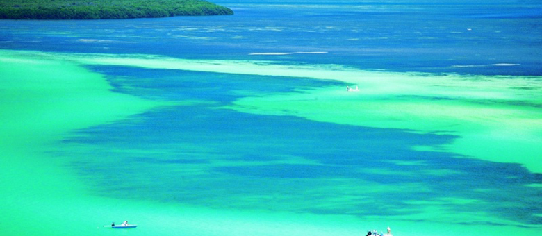 Plages et Parcs de la Floride - Etats-Unis Sud