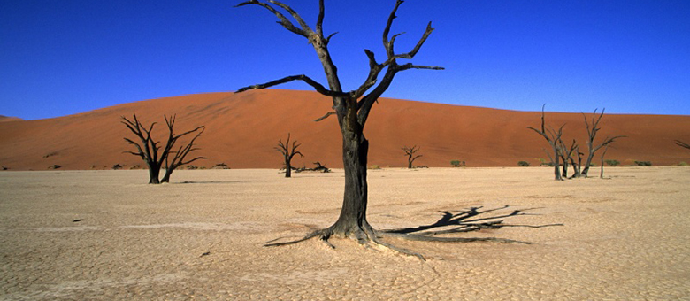 Reflets de Namibie en 4X4 0