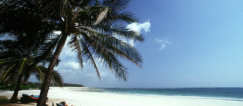 Savane et Paradis tropical 0