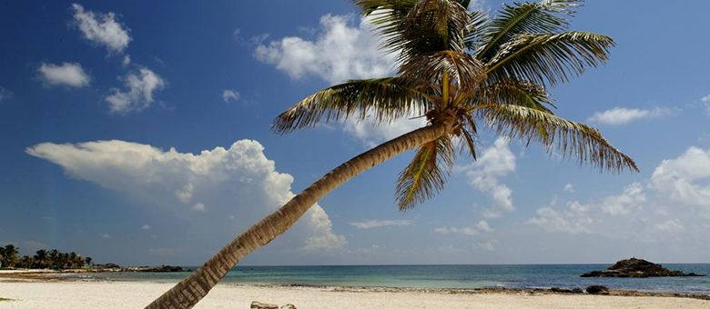 Plage de sable blanc - Riviera Maya - Mexique