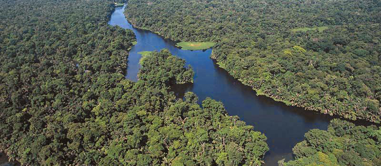 Parc National de Tortuguero - Costa Rica