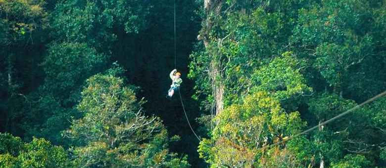 Canopy tour - Monteverde - Santa Elena - Costa Rica