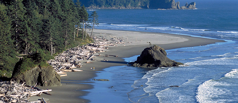 Olympic National Park - Oregon - Etats-Unis Ouest