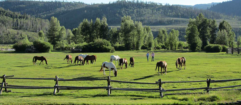 Goosewing Ranch - Wyoming - Etats-Unis Ouest