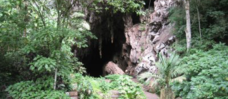 Cueva Guacharro - État de Monagas - Venezuela