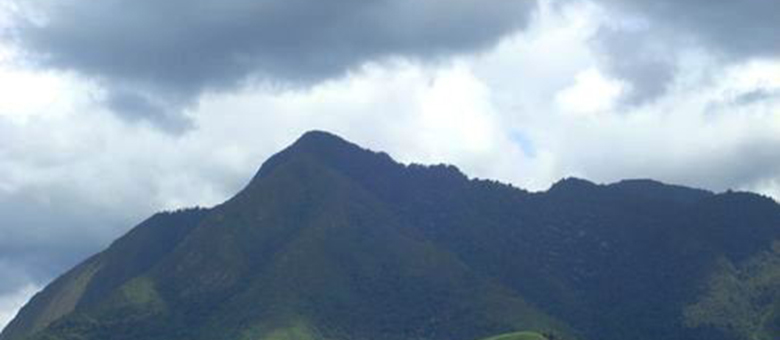 Cerro Gobernador - Estado Barinas - Venezuela