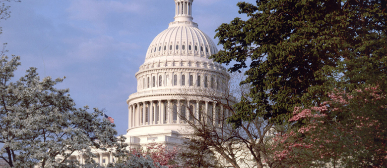 Capitol, Washington, DC