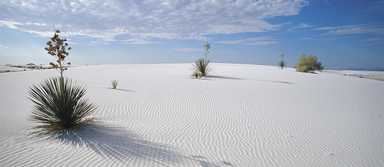 Las Cruces - Nouveau Mexique - Etats Unis
