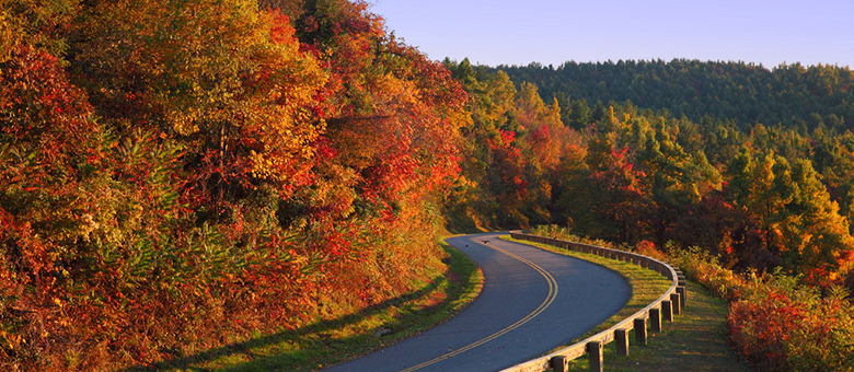 Fall Road