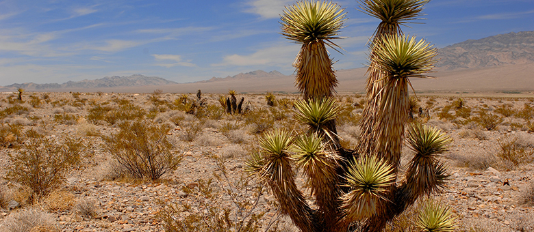Death Valley