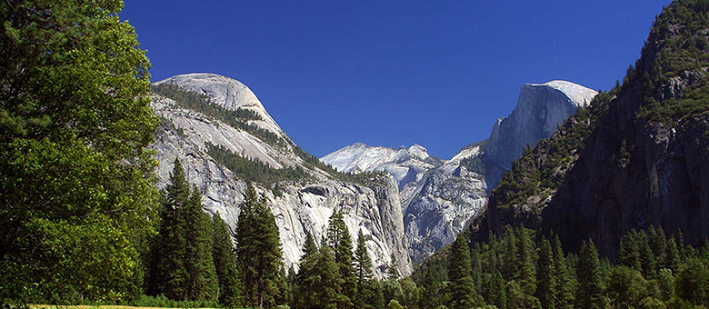 Yosemite meadows - Yosemite National Park - Californie - Etats Unis