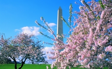 Washington Monument - Washington DC - Etats-Unis Est