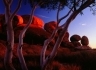 Voyages Australie : Mythique Explorer Way