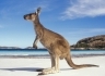 Voyages Australie : Paysages d'Australie