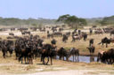 Aventure en Tanzanie